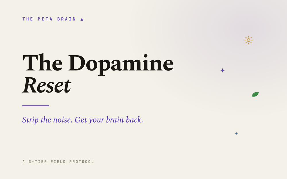 Feel Everything Again, the Dopamine Reset