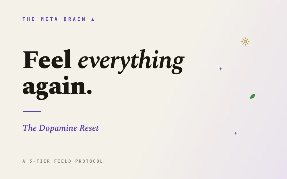 Feel Everything Again, the Dopamine Reset